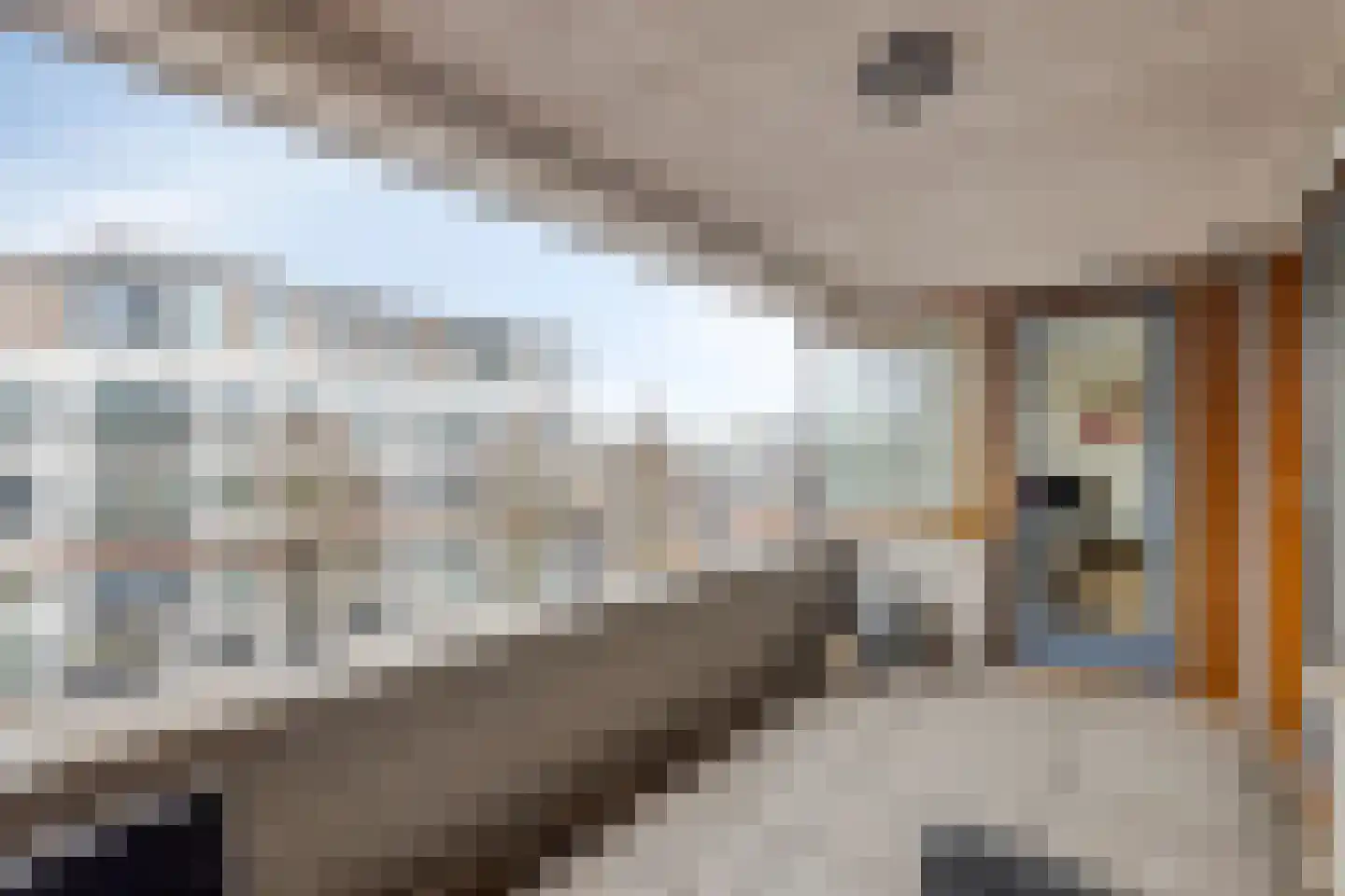 Vogelstraat 25 's-Hertogenbosch thumbnail 21