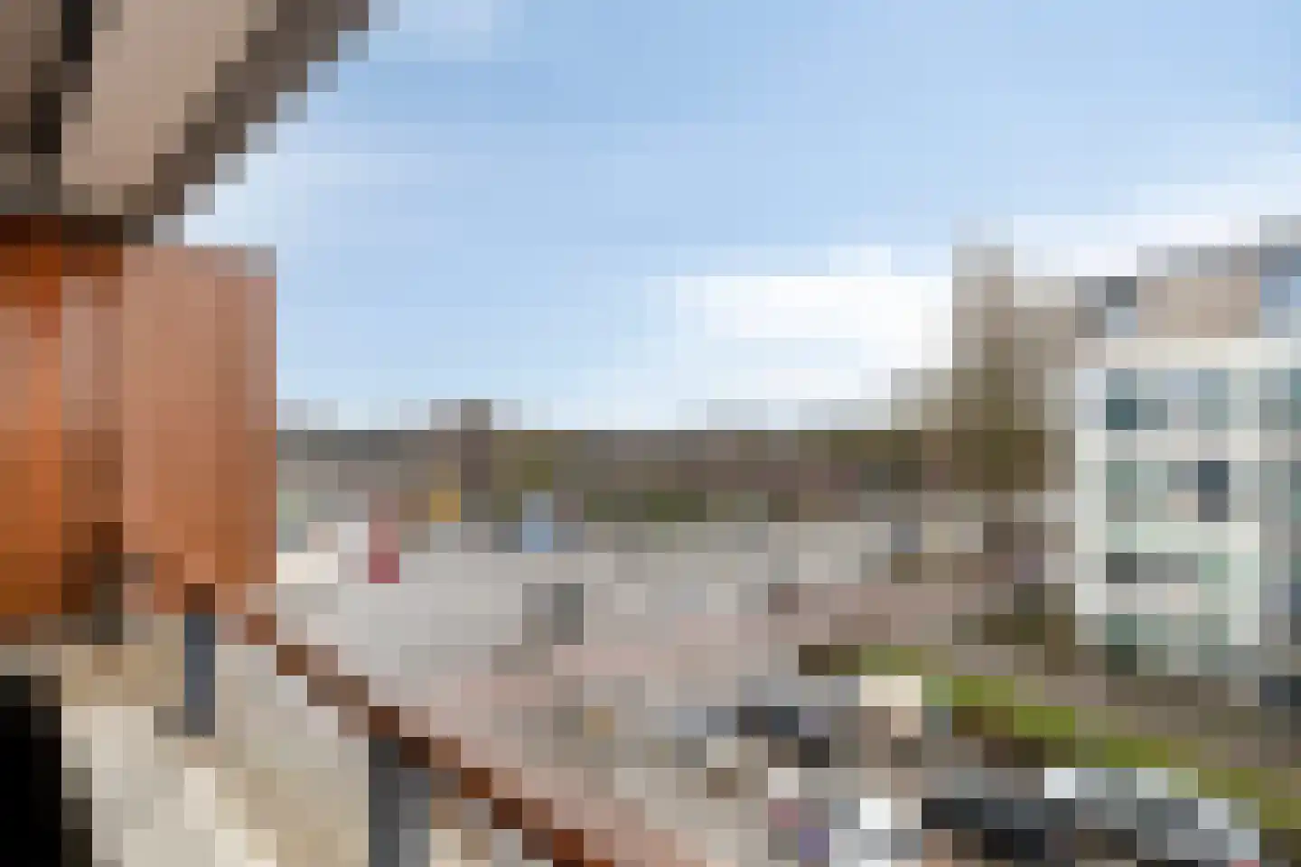Vogelstraat 25 's-Hertogenbosch thumbnail 22
