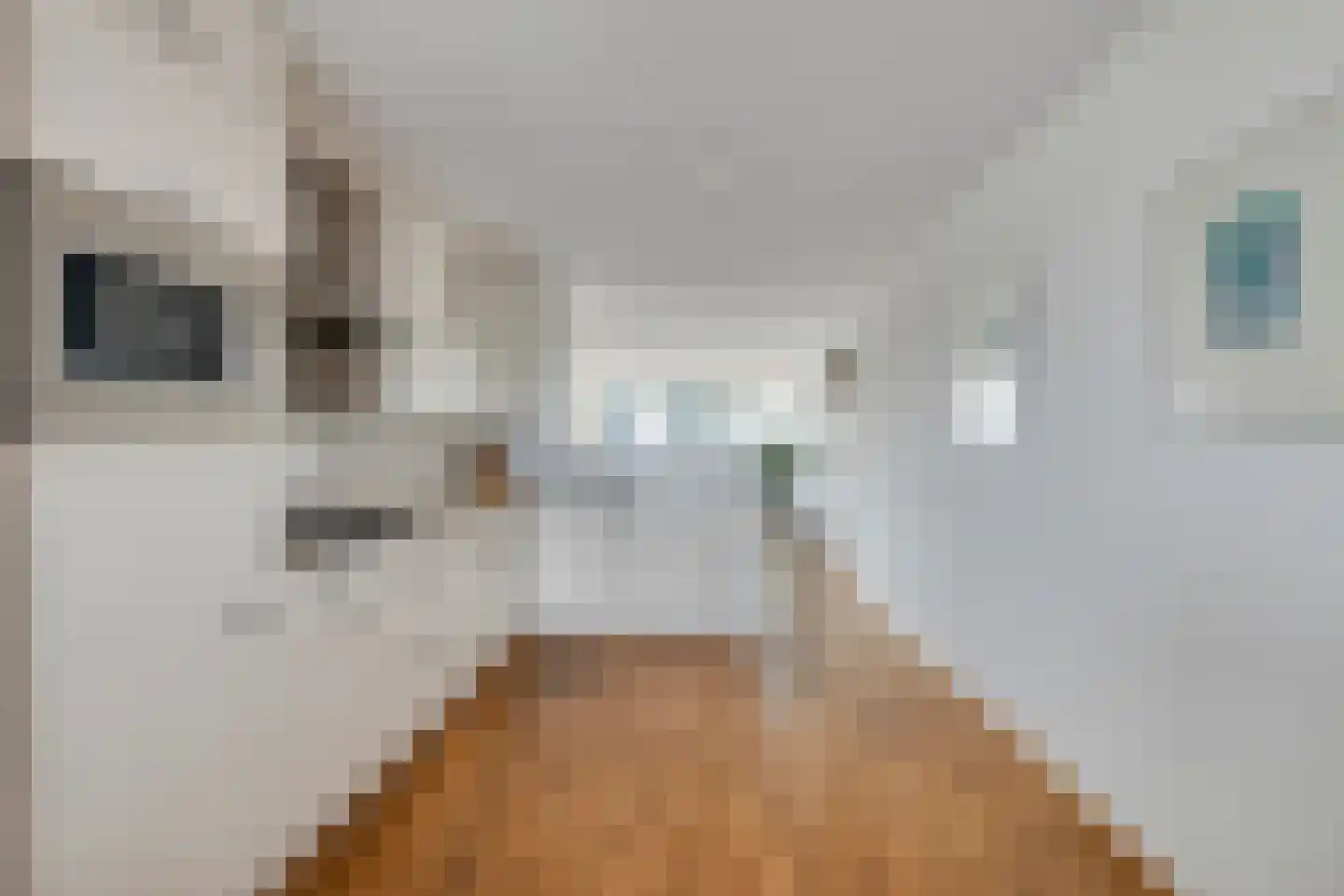 Vogelstraat 25 's-Hertogenbosch thumbnail 24