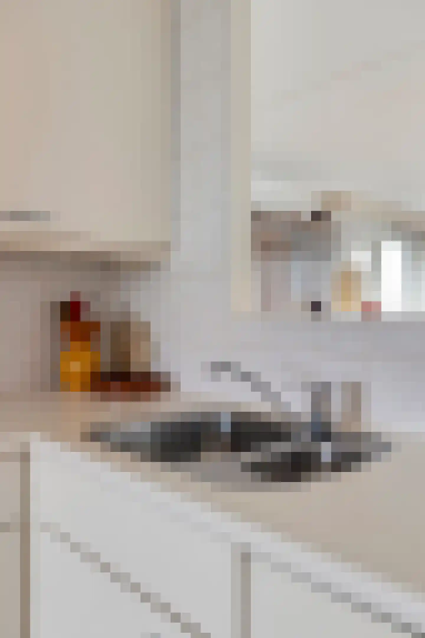 Vogelstraat 25 's-Hertogenbosch thumbnail 25