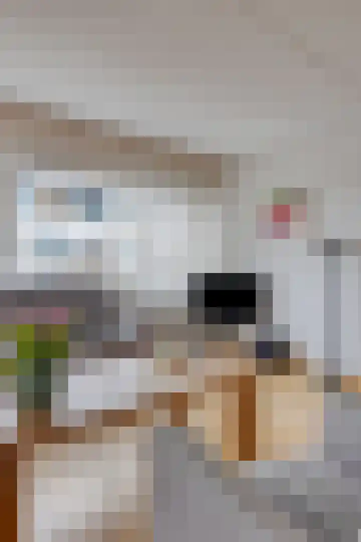 Vogelstraat 25 's-Hertogenbosch thumbnail 32