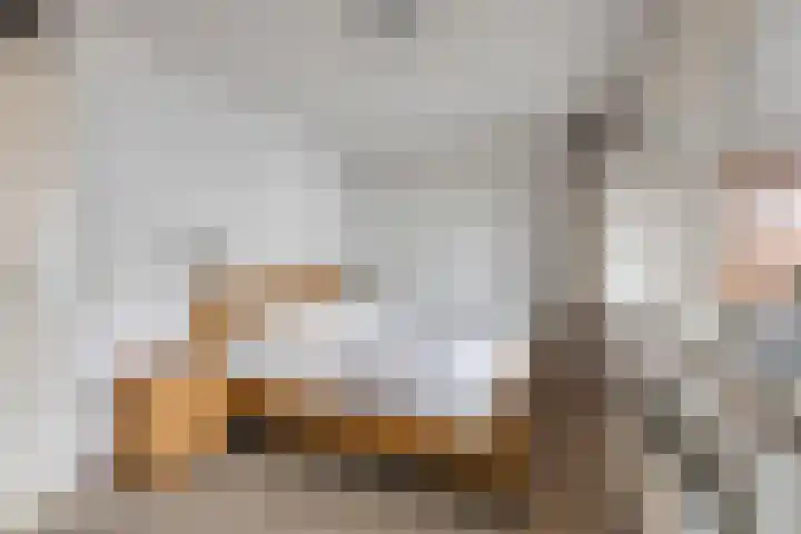 Vogelstraat 25 's-Hertogenbosch thumbnail 35