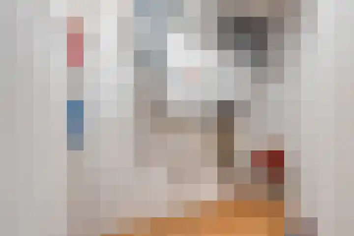 Vogelstraat 25 's-Hertogenbosch thumbnail 43