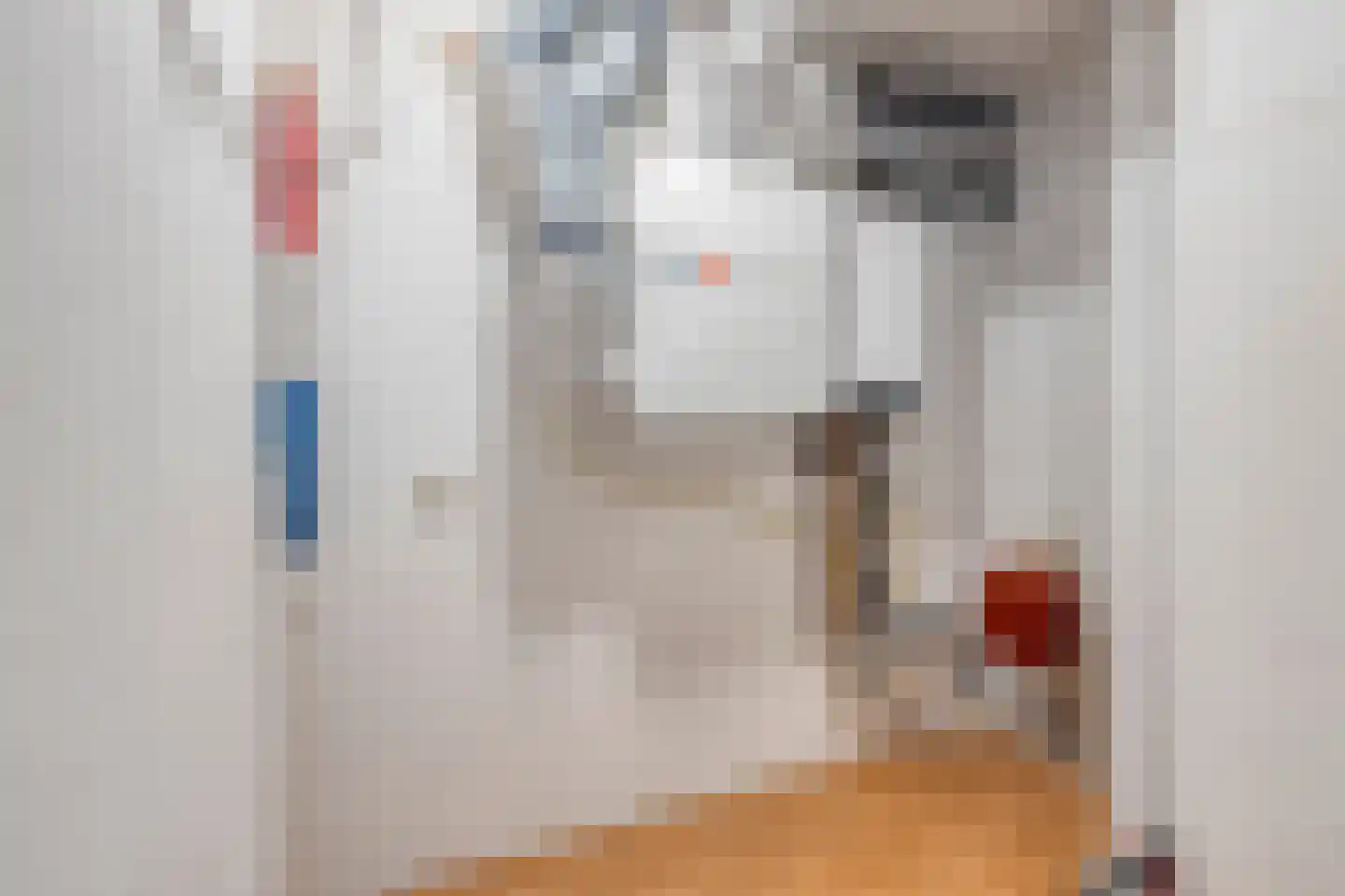 Vogelstraat 25 's-Hertogenbosch thumbnail 43