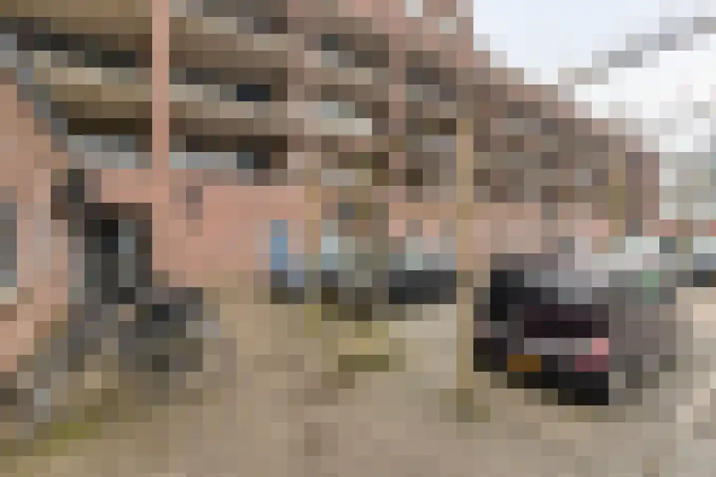 Vogelstraat 25 's-Hertogenbosch thumbnail 45