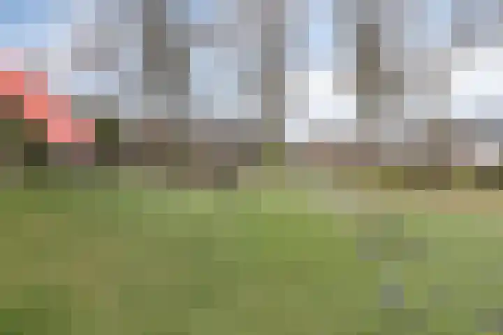 Vogelstraat 25 's-Hertogenbosch thumbnail 49