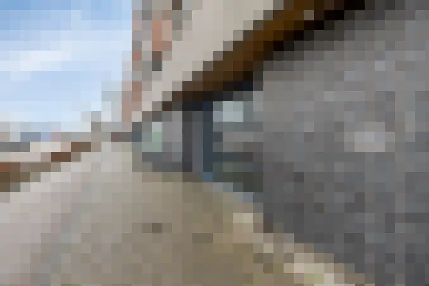 Vogelstraat 25 's-Hertogenbosch thumbnail 8