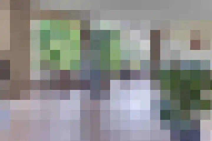 Vogelstraat 4 Harderwijk thumbnail 12