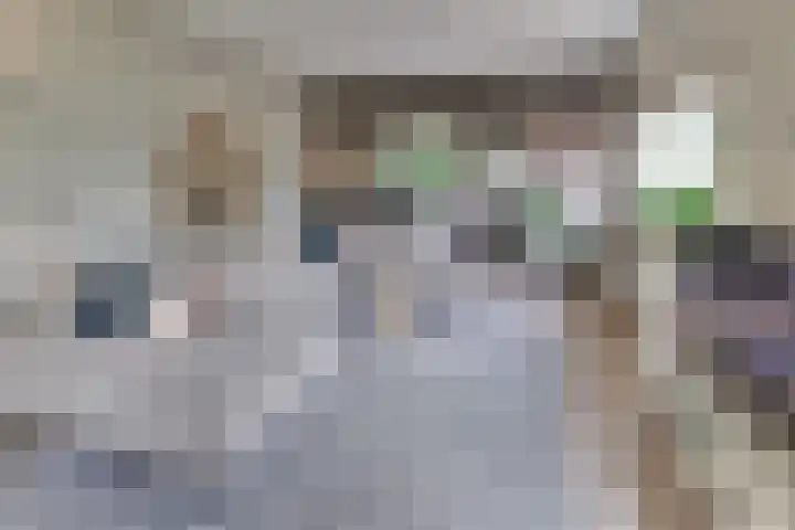 Vogelstraat 4 Harderwijk thumbnail 13