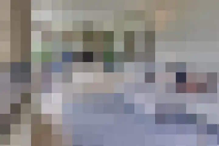 Vogelstraat 4 Harderwijk thumbnail 14