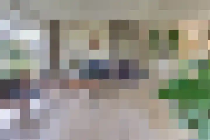 Vogelstraat 4 Harderwijk thumbnail 16