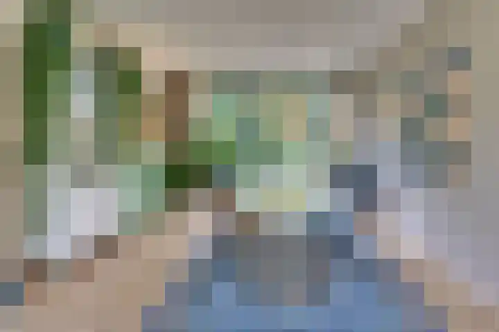 Vogelstraat 4 Harderwijk thumbnail 18