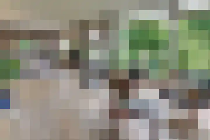 Vogelstraat 4 Harderwijk thumbnail 20