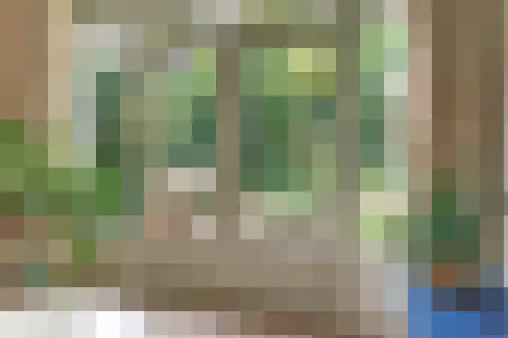 Vogelstraat 4 Harderwijk thumbnail 21