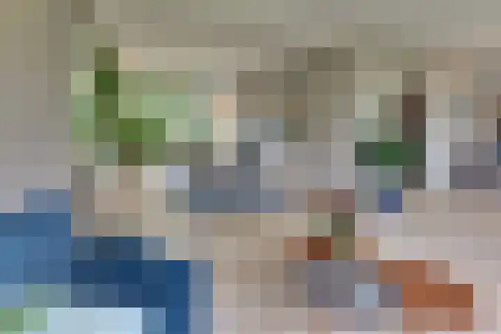 Vogelstraat 4 Harderwijk thumbnail 22