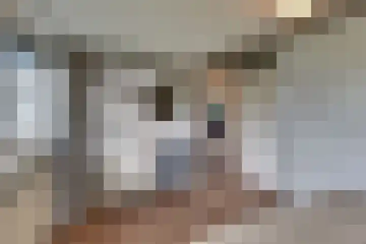 Vogelstraat 4 Harderwijk thumbnail 33