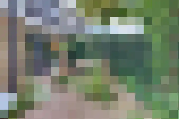 Vogelstraat 4 Harderwijk thumbnail 34