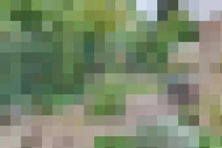Vogelstraat 4 Harderwijk thumbnail 36