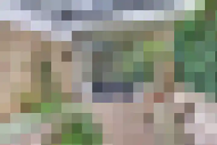 Vogelstraat 4 Harderwijk thumbnail 37