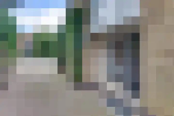 Vogelstraat 4 Harderwijk thumbnail 39