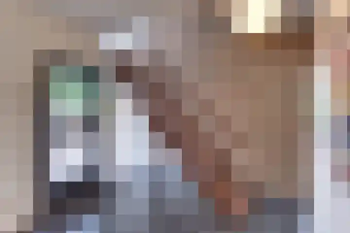 Vogelstraat 4 Harderwijk thumbnail 4