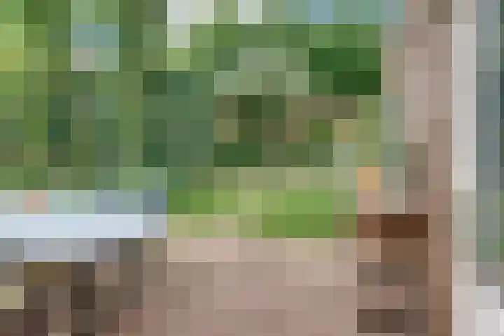 Vogelstraat 4 Harderwijk thumbnail 40