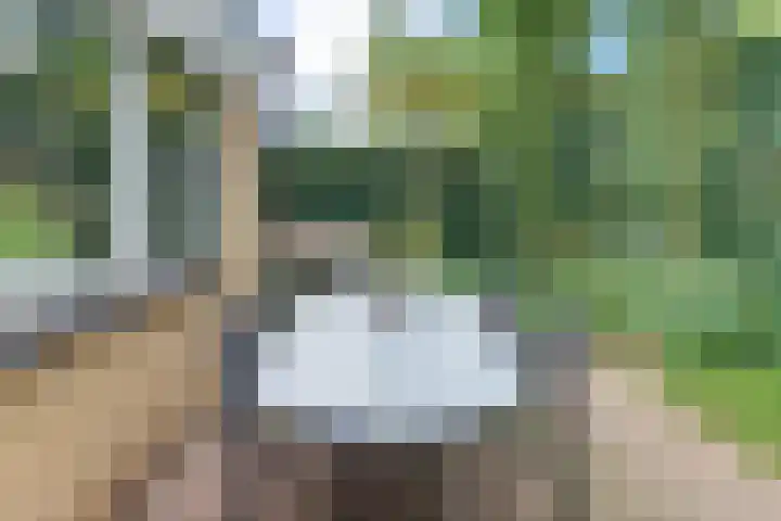 Vogelstraat 4 Harderwijk thumbnail 41