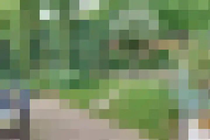 Vogelstraat 4 Harderwijk thumbnail 42