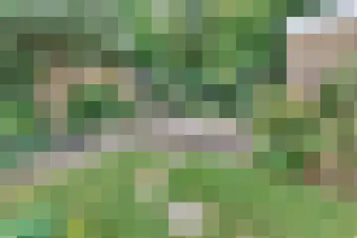 Vogelstraat 4 Harderwijk thumbnail 43