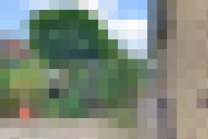 Vogelstraat 4 Harderwijk thumbnail 45