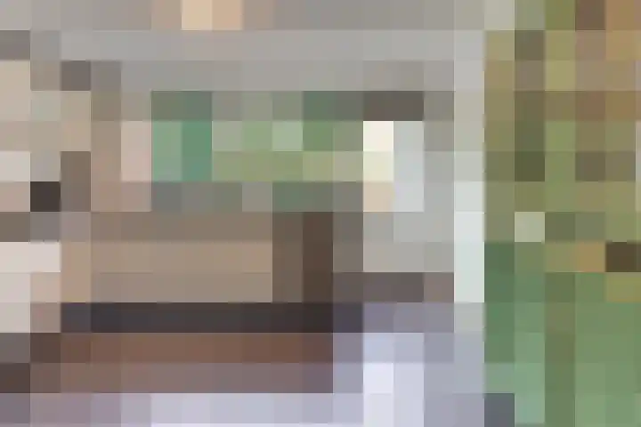 Vogelstraat 4 Harderwijk thumbnail 5