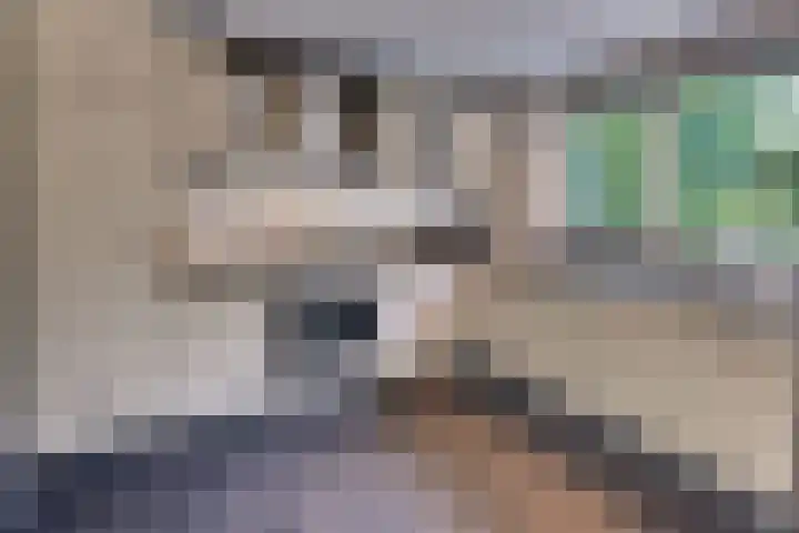Vogelstraat 4 Harderwijk thumbnail 6