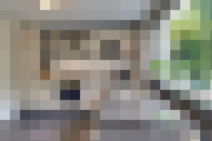 Vogelstraat 4 Harderwijk thumbnail 7