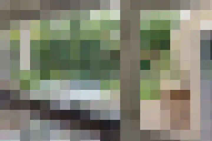 Vogelstraat 4 Harderwijk thumbnail 8