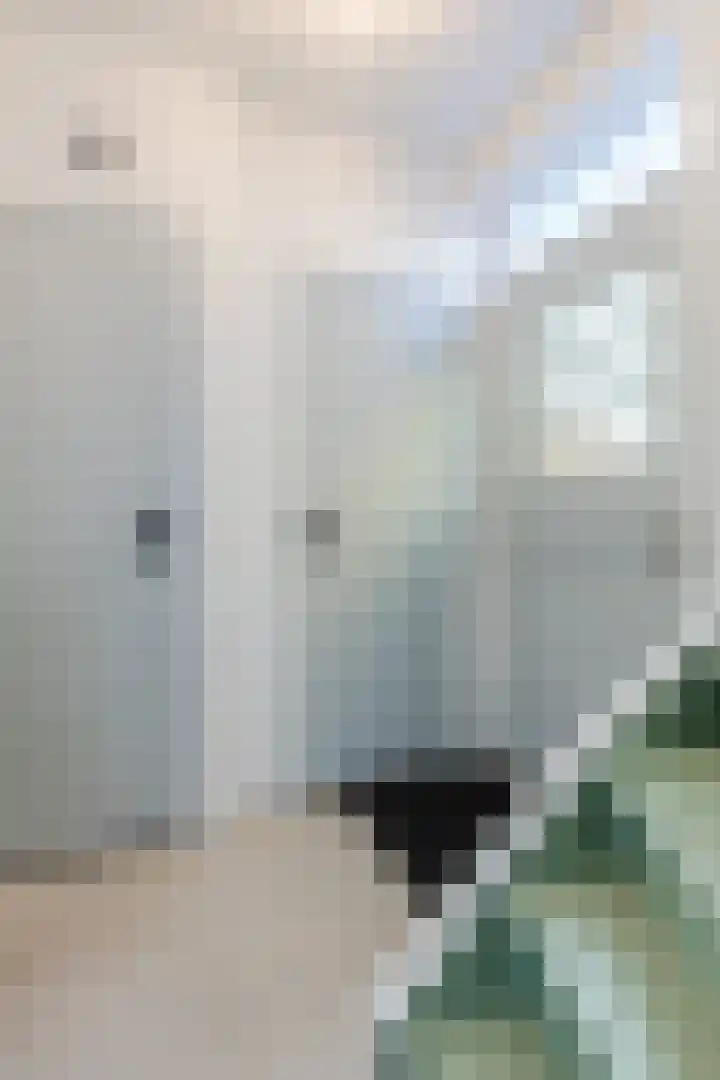 Vogelstraat 43 Hooge Zwaluwe thumbnail 8