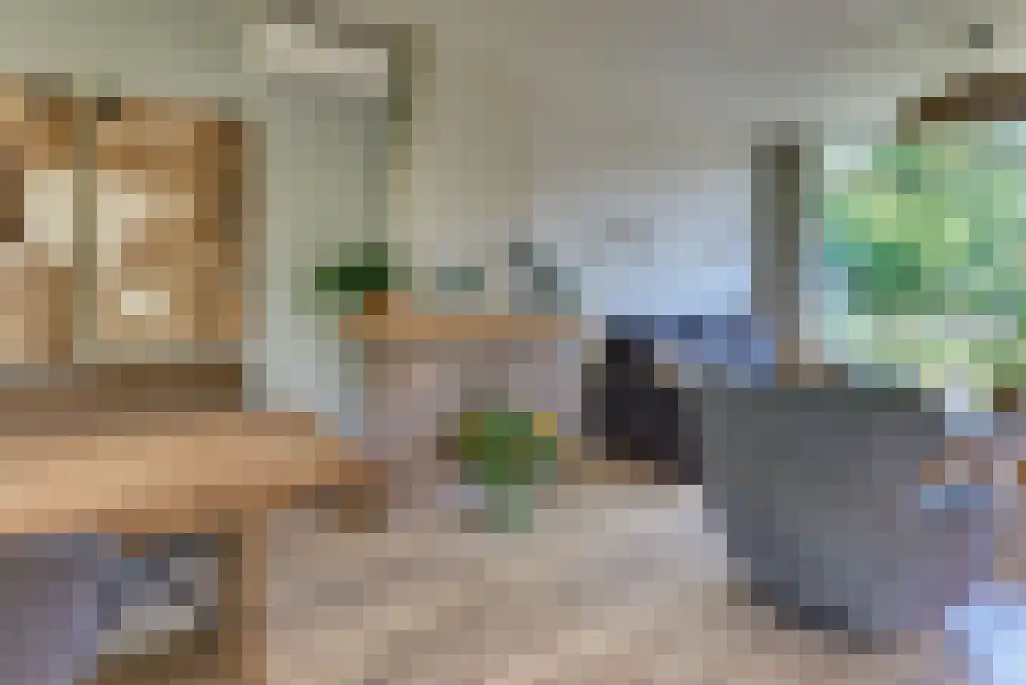 Vogelstraat 6 Harderwijk thumbnail 17