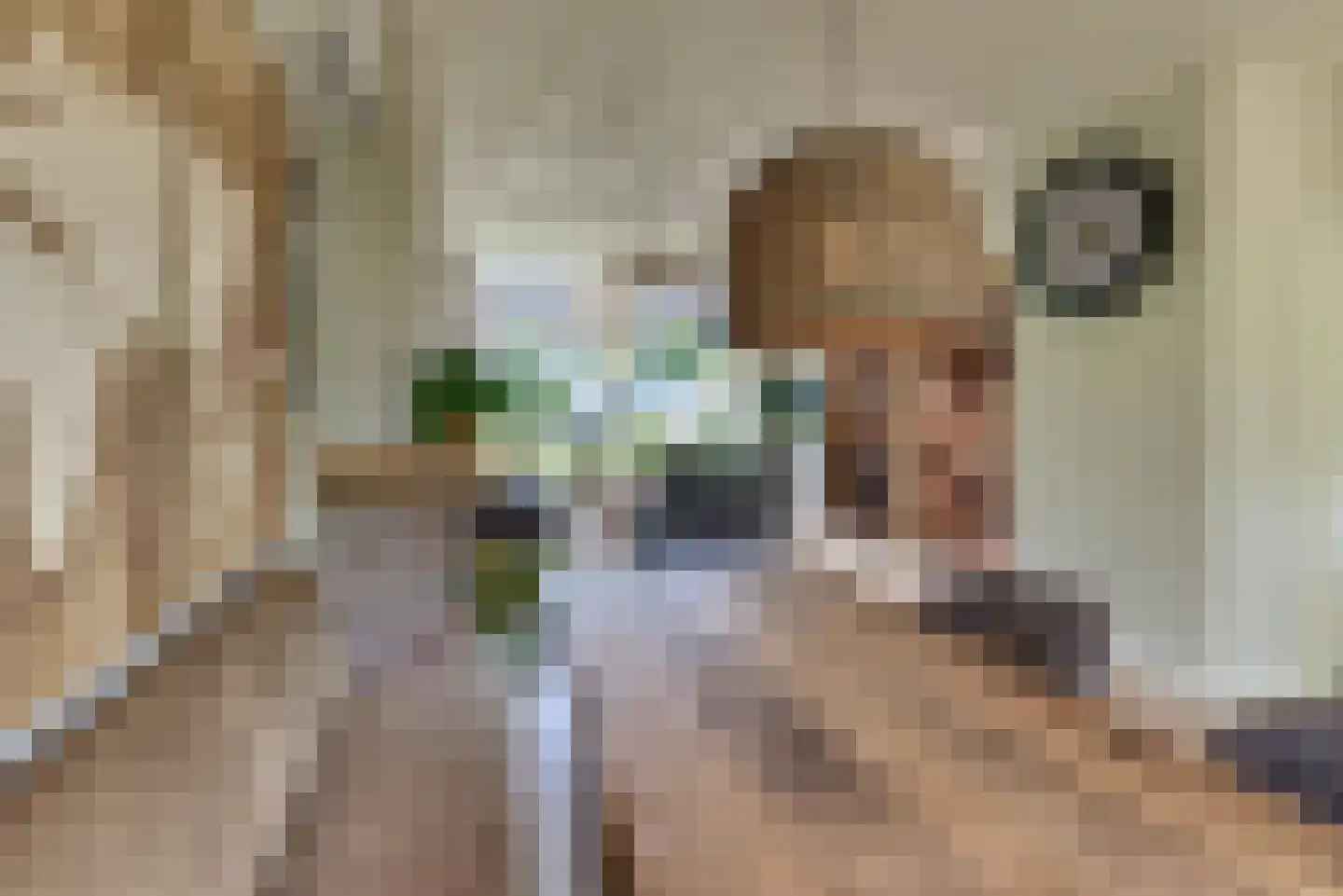 Vogelstraat 6 Harderwijk thumbnail 24