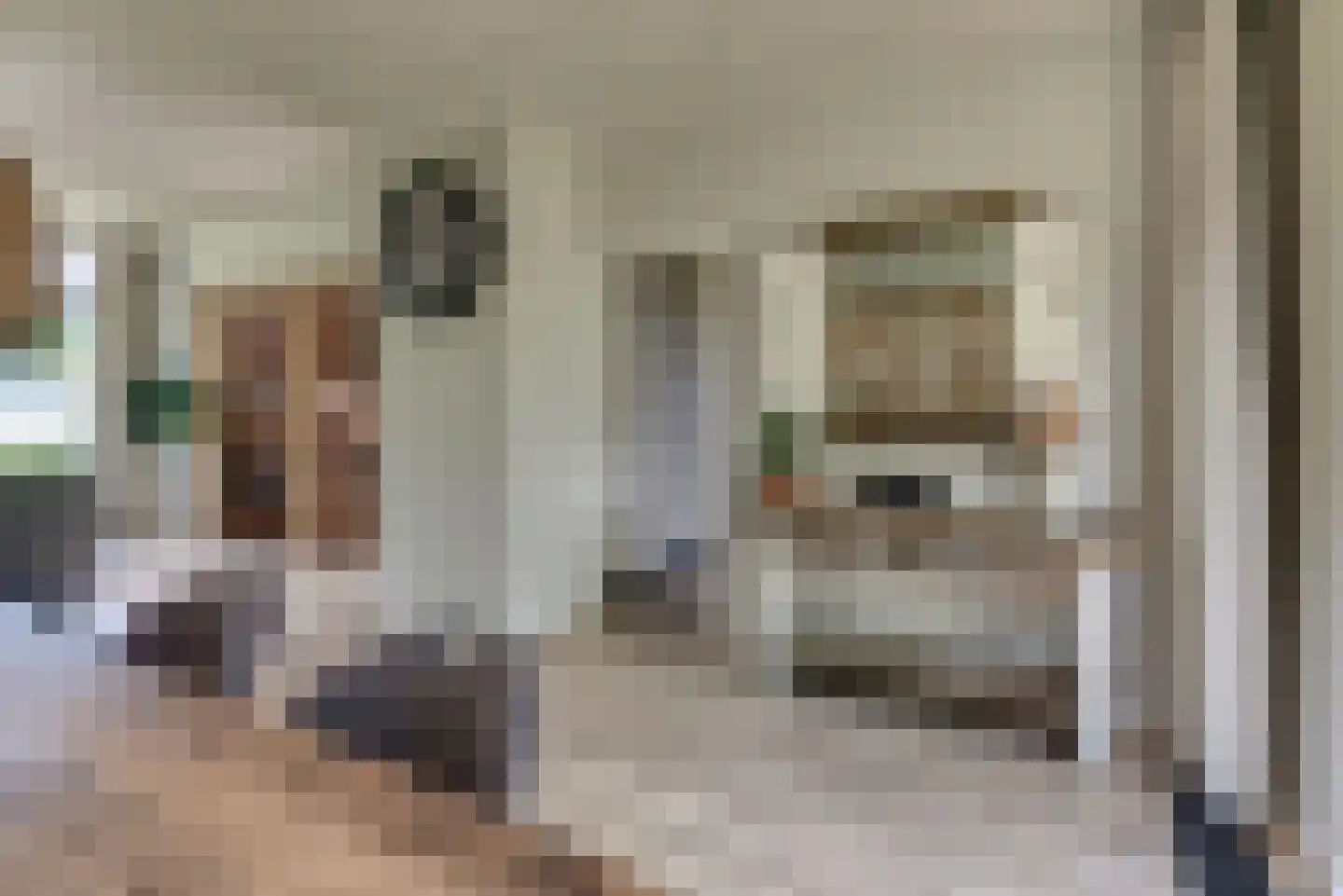 Vogelstraat 6 Harderwijk thumbnail 25