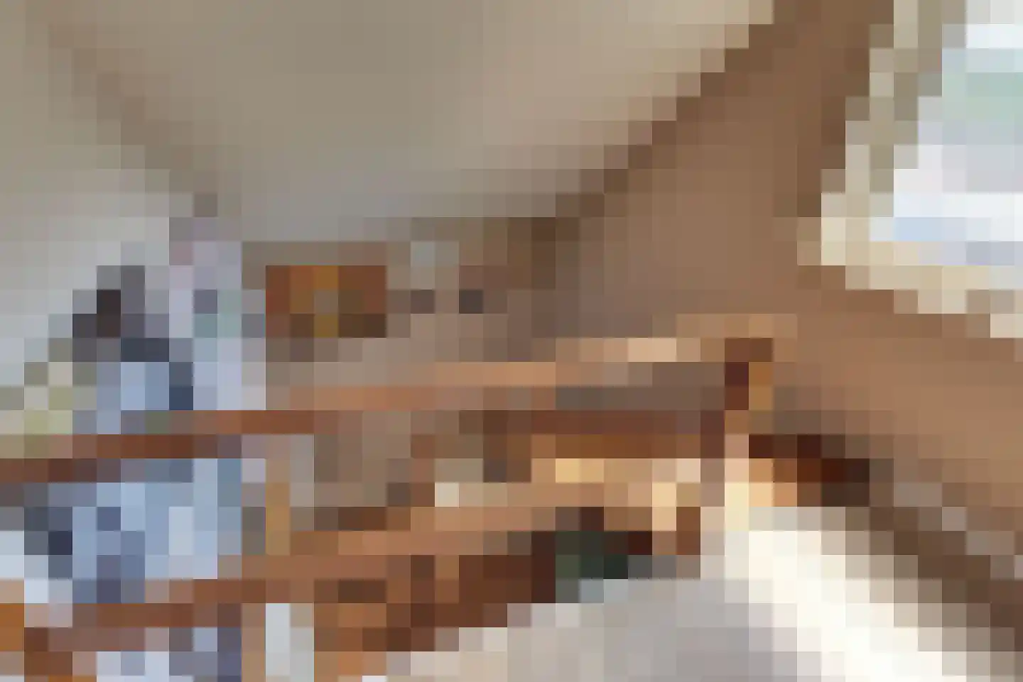 Vogelstraat 6 Harderwijk thumbnail 32