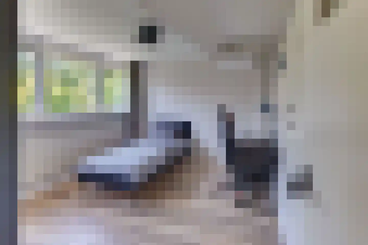 Vogelstraat 6 Harderwijk thumbnail 36