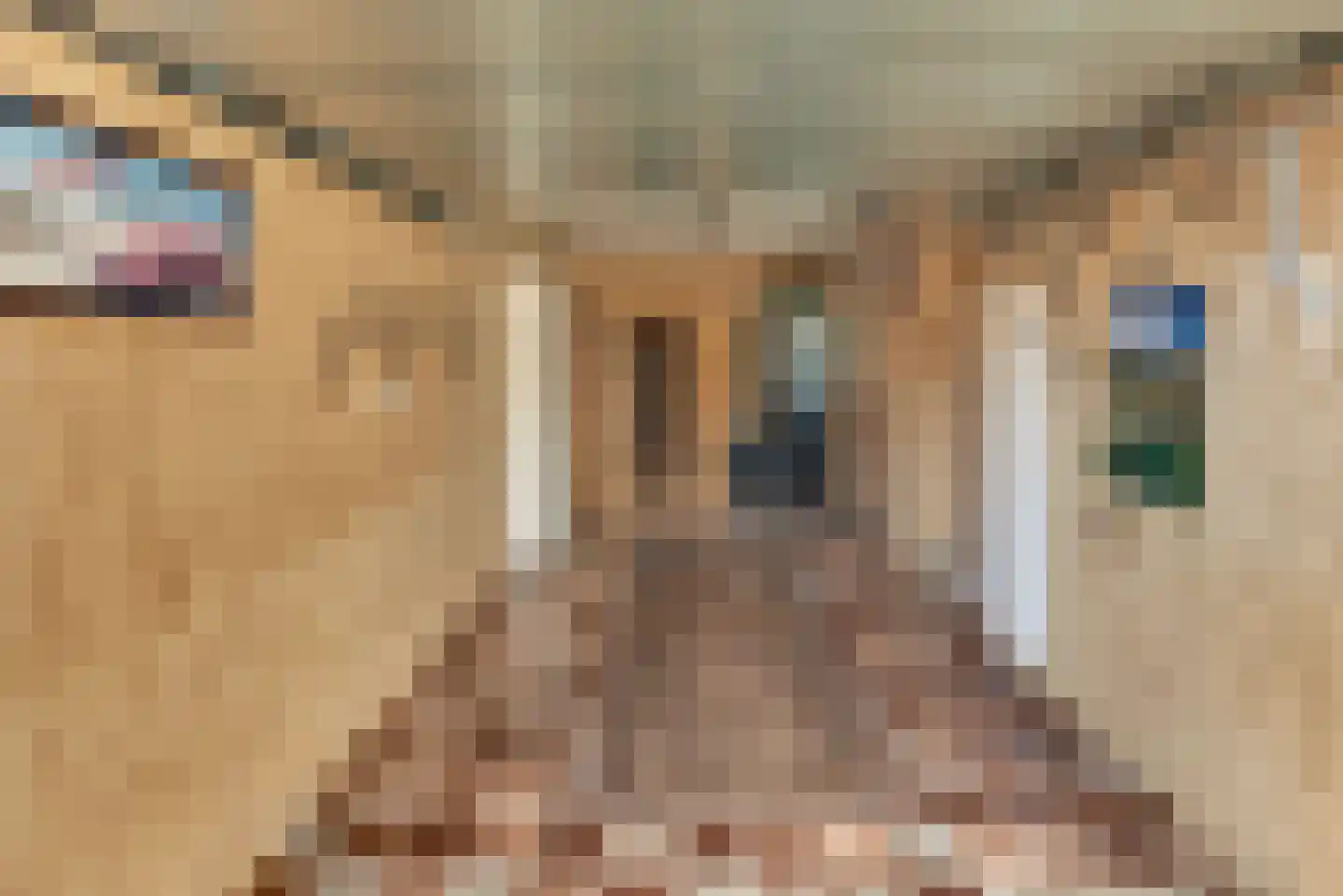 Vogelstraat 6 Harderwijk thumbnail 40
