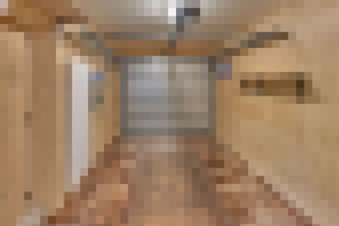 Vogelstraat 6 Harderwijk thumbnail 41