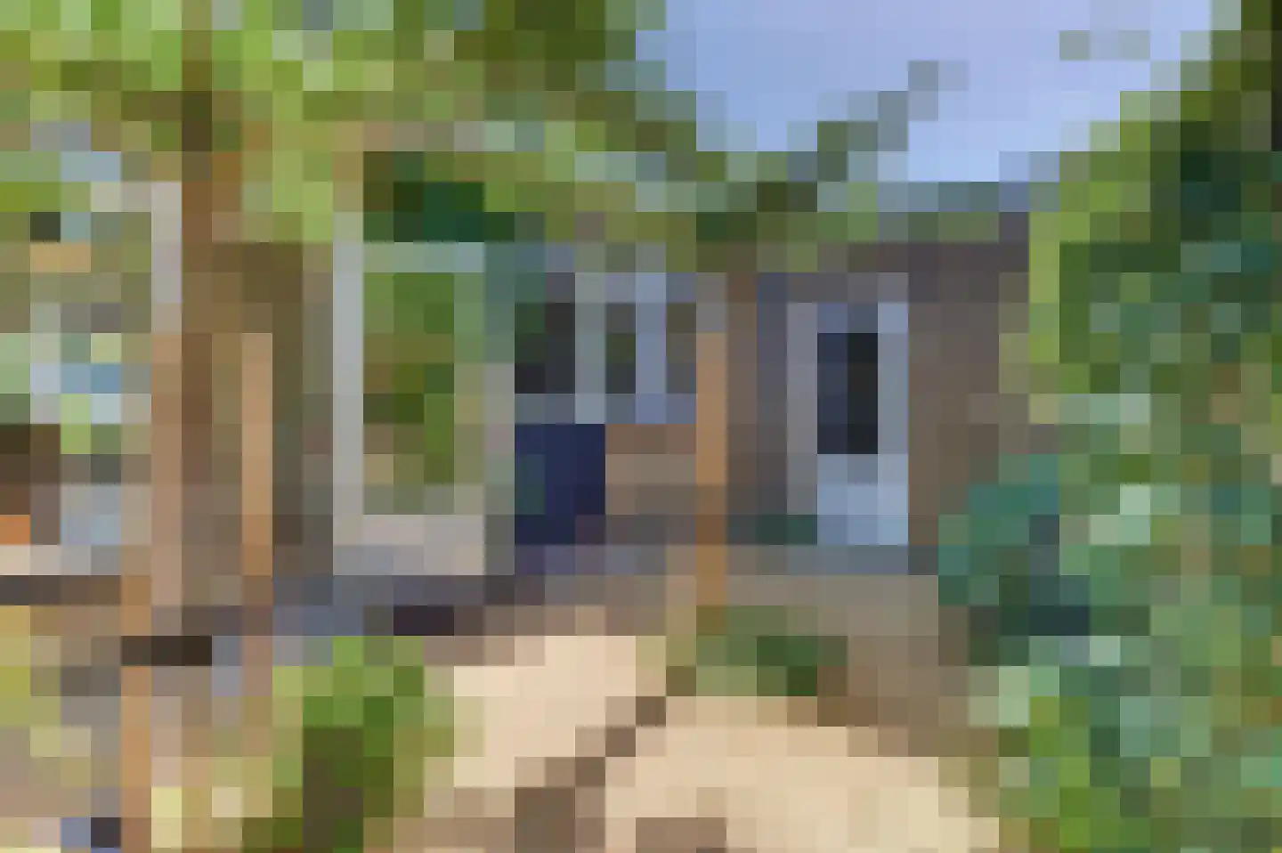 Vogelstraat 6 Harderwijk thumbnail 44