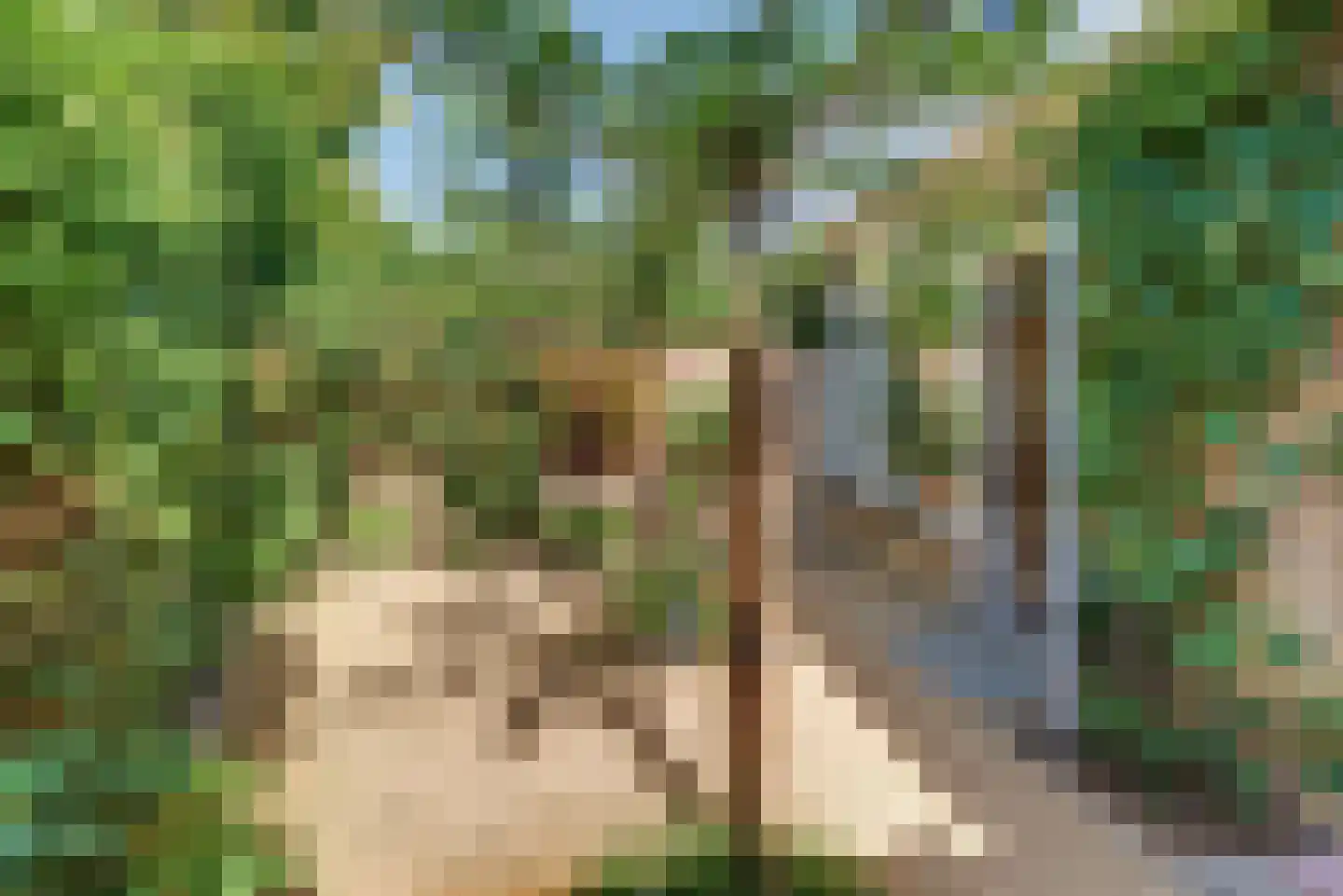 Vogelstraat 6 Harderwijk thumbnail 45