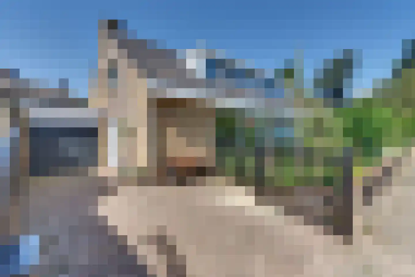 Vogelstraat 6 Harderwijk thumbnail 50