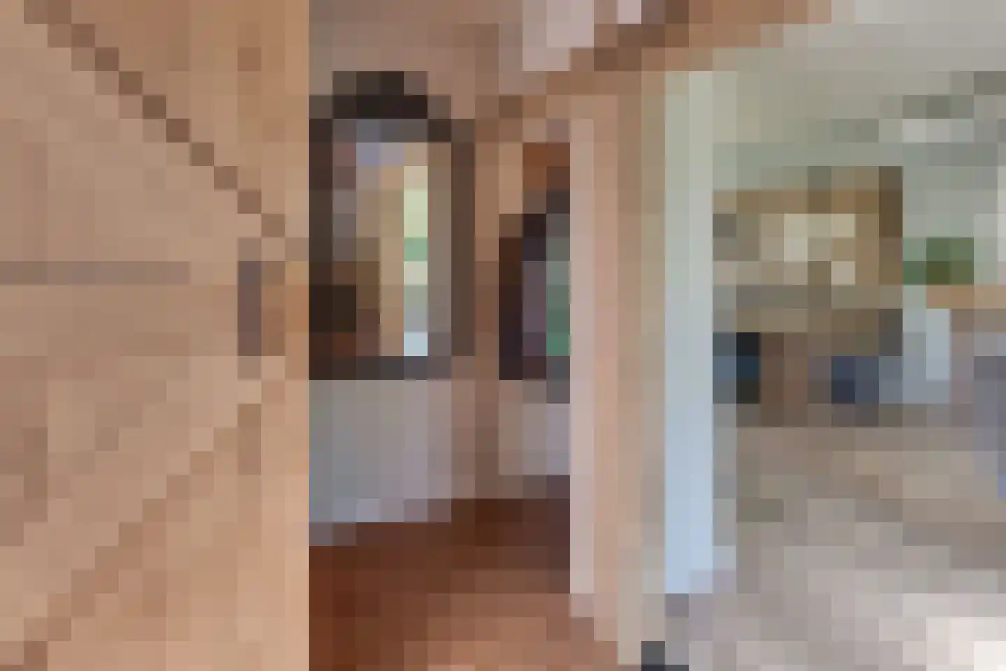 Vogelstraat 6 Harderwijk thumbnail 6