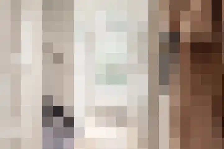 Vogelstraat 7 Harderwijk thumbnail 13