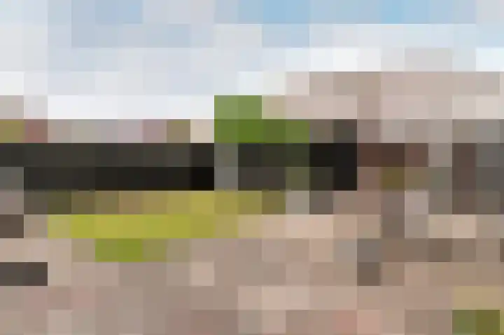 Vogelstraat 7 Harderwijk thumbnail 27