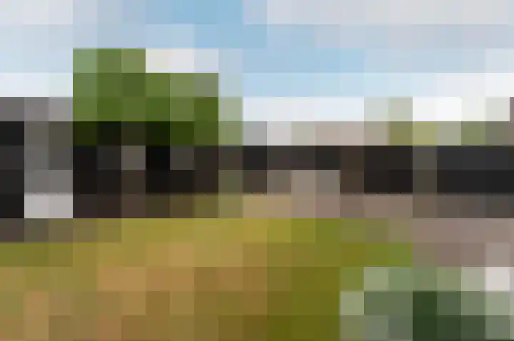 Vogelstraat 7 Harderwijk thumbnail 28