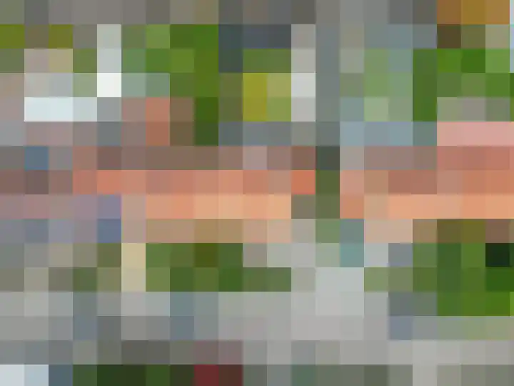 Vogelstraat 7 Harderwijk thumbnail 33